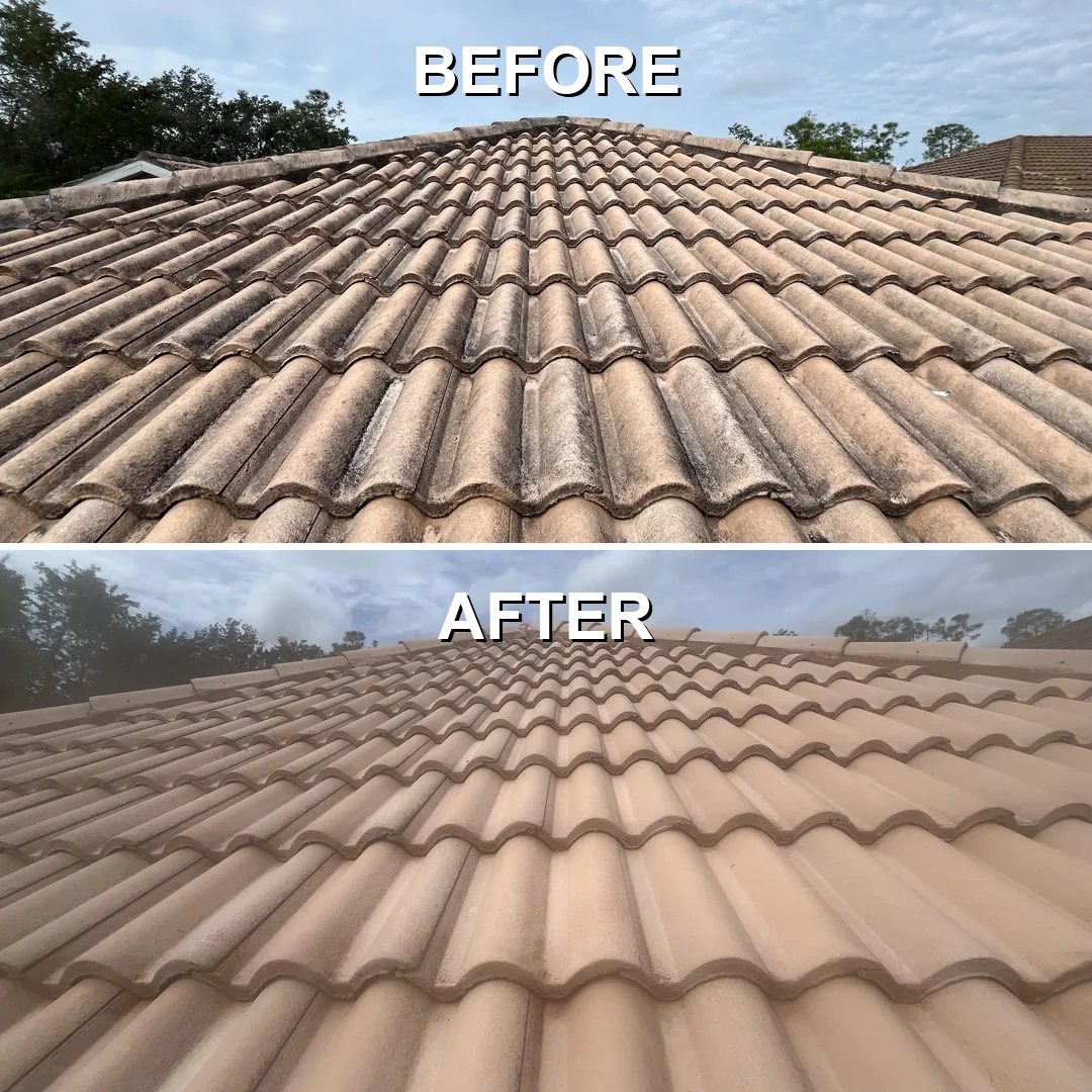 Before-and-after views of a tile roof, with dark streaking removed after cleaning